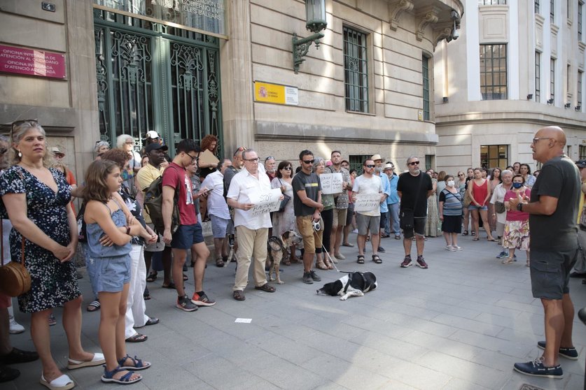 Imatge de la concentració celebrada a Palma el diumenge 26. Foto: EuropaPress