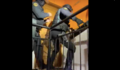 foto d'un dels escorcolls a partir de vídeo de la Guàrdia Civil