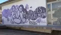 imatge: Moviment feminista de Mallorca