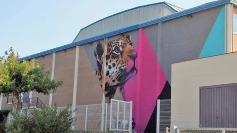 tn_800_29_04_159_23_3814b_Soy_pantera