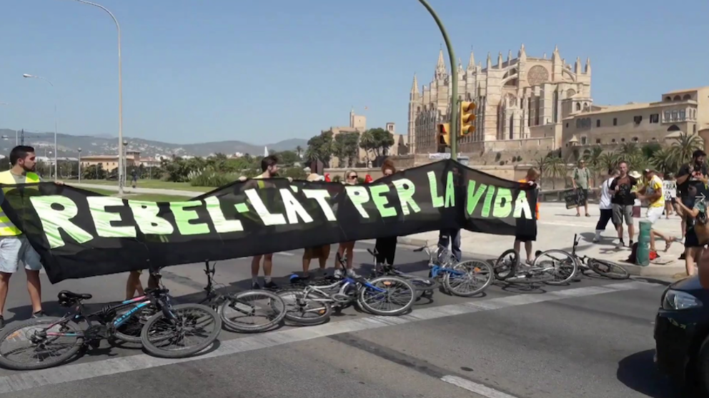 Captura de Pantalla 2019-08-11 a les 9.06.42