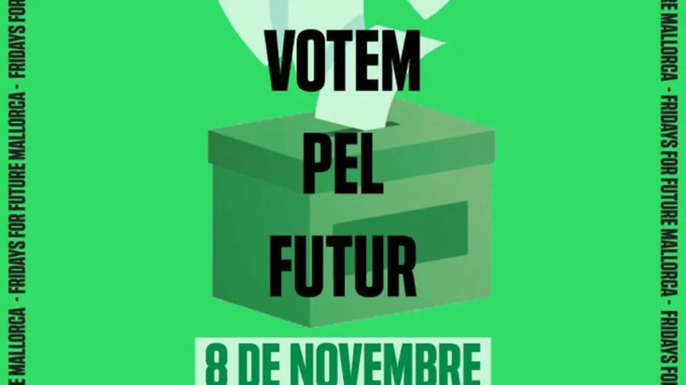 Fridays for Future/8N