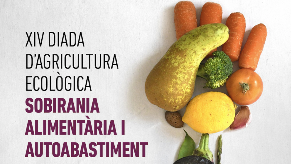 imatge del cartell de la Diada